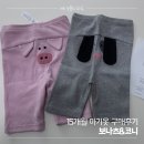 오늘도뚱내일도뚱 | 배뚱아기 보나츠 피그뽀 바이커쇼츠 XL 착샷 후기 🍑 코니 사이즈 비교까지 (봄맞이 아기옷 쇼핑)