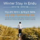 에리두 | 제리코레서피와 함께 한 두번째 제주 에리두 쿠킹 트립 후기