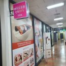 둔산중로-37 이미지