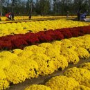 인생신호등 이미지