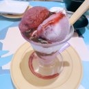 더스시투어 이미지