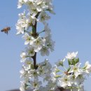 운문가는길 이미지