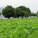 詩가 된 풍경 이미지