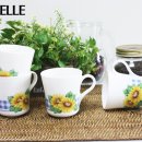 키친썬플라워 이미지