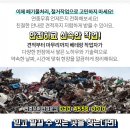 계산동빌딩/신세계 빌딩 이미지