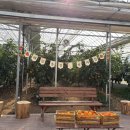 해담농장 이미지