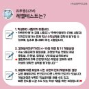 유투엠수학학원