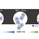 영하슈퍼