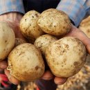 농업회사법인 자연이랑 주식회사 이미지