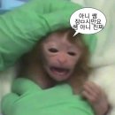 스마일식품 - 포천시 | 내돈내산 압구정안과 스마일라식 후기!