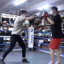 정우복싱클럽 이미지