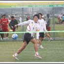이중본