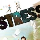 성북동언니 이미지