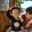 세딸목장 이미지