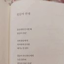 철학, 위로와 지혜가 되다 | [도서리뷰] 나태주 시집 '꽃을 보듯 너를 본다'-아이라는 꽃을 대하는 엄마의 자세