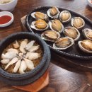 스테이동백 이미지