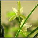 영성세탁소 이미지