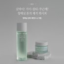 미백 레이저 대신 로로벨 청매실 잡티에센스 &amp; 크림