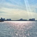 플스브라더스 | 오이도데이트 1박2일 시흥하늘휴게소 오이도조개구이내돈내산