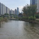 수자인사거리 이미지