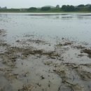 문선명농장 이미지