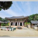 곰달래로6길 | 양천구점집 아들 합격운보고 마음 뭉클해진 신점 후기