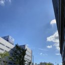 씽씽쏭쏭 이미지