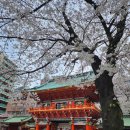 내방3리(청룡) 마을회관 | [도쿄 벚꽃 명소] 일본 간다 신사 칸다묘진 神田神社 神田明神/미야모토 공원 宮本公園