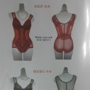 브리스건강기능성속옷 이미지