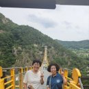 금산한국농장 이미지