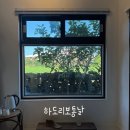 하도리 보통날 | [제주] 제주 가성비 동쪽 숙소 추천 고양이 좋아하면 무조건! ‘하도리보통날’ 방둘 숙박 후기