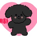 깜돌이식품 네이버블로그