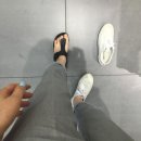 엘티마트