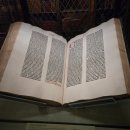 유화 (인문에서 작가로) | 뉴욕 르느와르 전시회 추천 후기