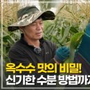 김경식 농장 이미지