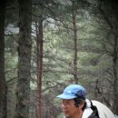 바우길 16구간 이미지