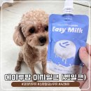 배앓이 없는 A2우유, 에이투팜 펫밀크로 우리 집 댕댕이 음수량 채우기!