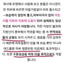 씨유사랑