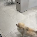 헤어２１세기 네이버블로그
