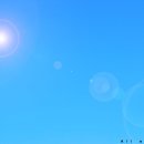 바다닮다 이미지