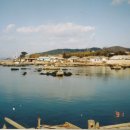 용연초등학교 이미지