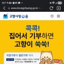 여주-1128 | [공유] 제목 2025년 7월 25일 경기모바일 ‘경인방송! 경기를 듣습니다’ iFM 90.7MHz 모바일뉴스 제목...