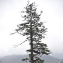 마천면사무소 이미지