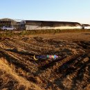 천애농장 이미지