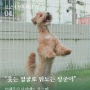 피앤엠 반려견교육센터 대전점 네이버블로그
