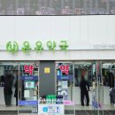 모아약국 | 종로약국 성지 광장시장 근처 필수 코스 온유약국 후기!