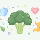 브로콜리가 면역력을 높이는 원리 이미지