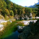 굴구지정원 이미지