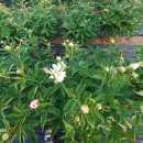 한길타조농장 이미지