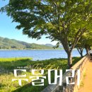 냉천강변 공중화장실 | 경기도 양평 | 두물머리 | 초여름 방문 추천 BEST 3 (+주차장, 포토존, 핫도그)